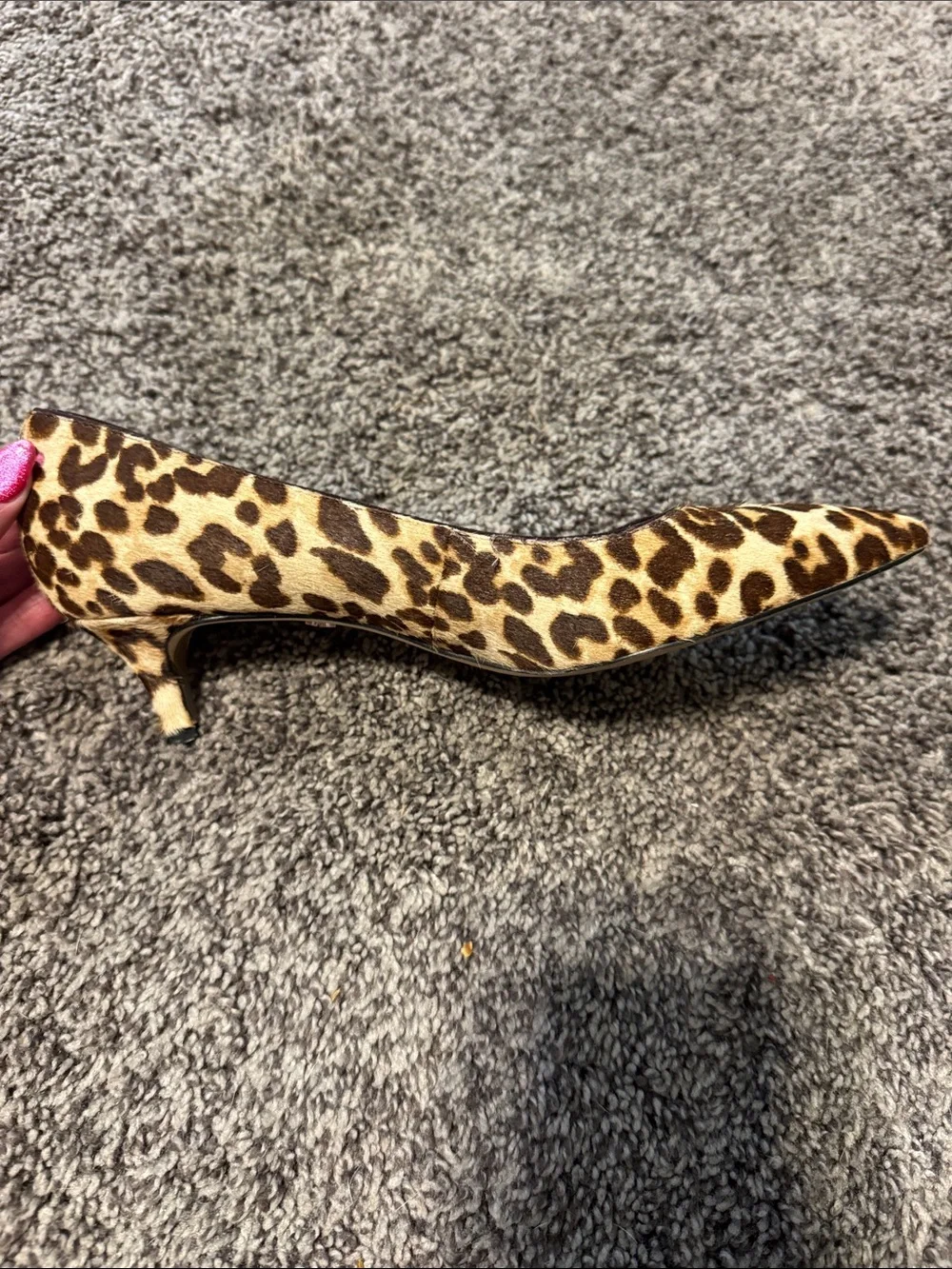 Sam Edelman Leopard-Print Pointed Toe Flats - Brown & Black